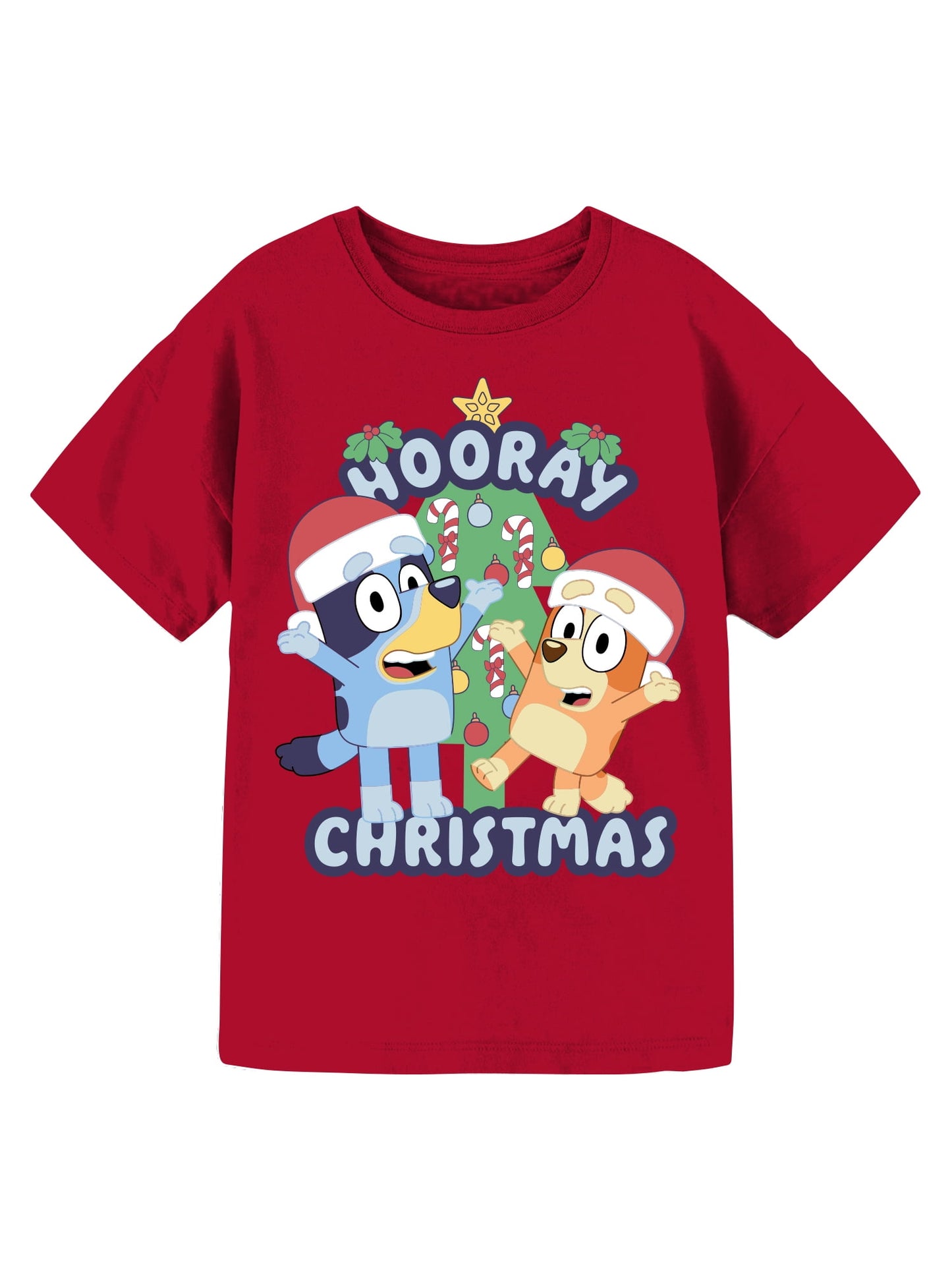 Bluey Hooray Christmas Graphic Crew Neck Short Sleeve T-Shirt, Medium