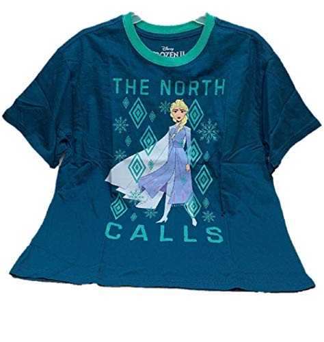Disney Girl's Frozen 2 Anna and Elsa Graphic Tee (North Calls, XK 15-17)