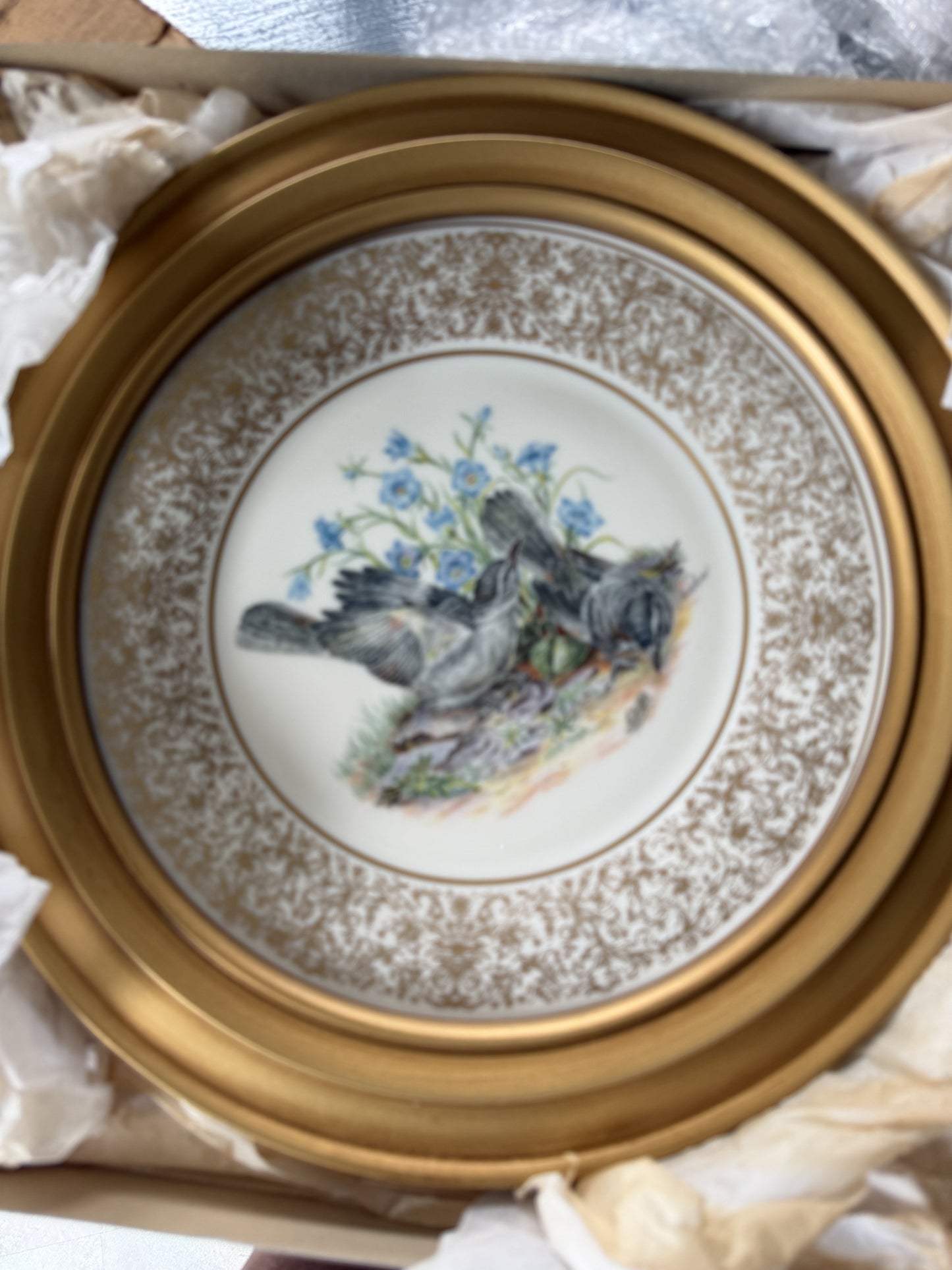 Lenox Annual Limited Edition Boehm Birds Collector Plates Edward Marshall Boehm